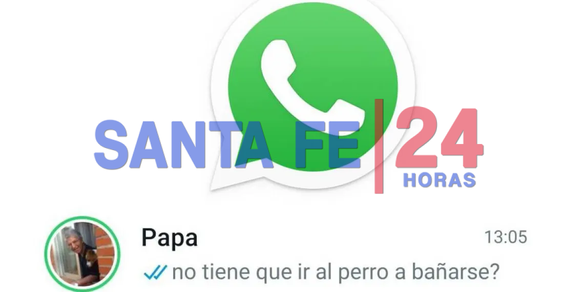 Whatsapp Sumó Nuevas Funciones Para Los Estados Cuáles Son Santa Fe 24 Horas 2548